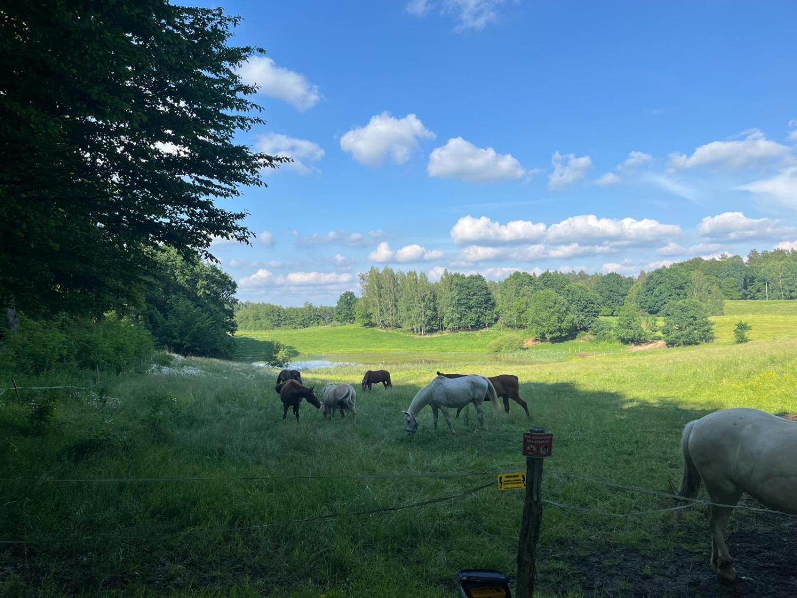 Biale Domki Bytow  Bagian luar foto